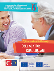 Özel Sektör (2012)