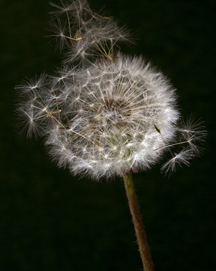 DEOR ÇALIŞTAYI_PROJELER_22Kasım2021