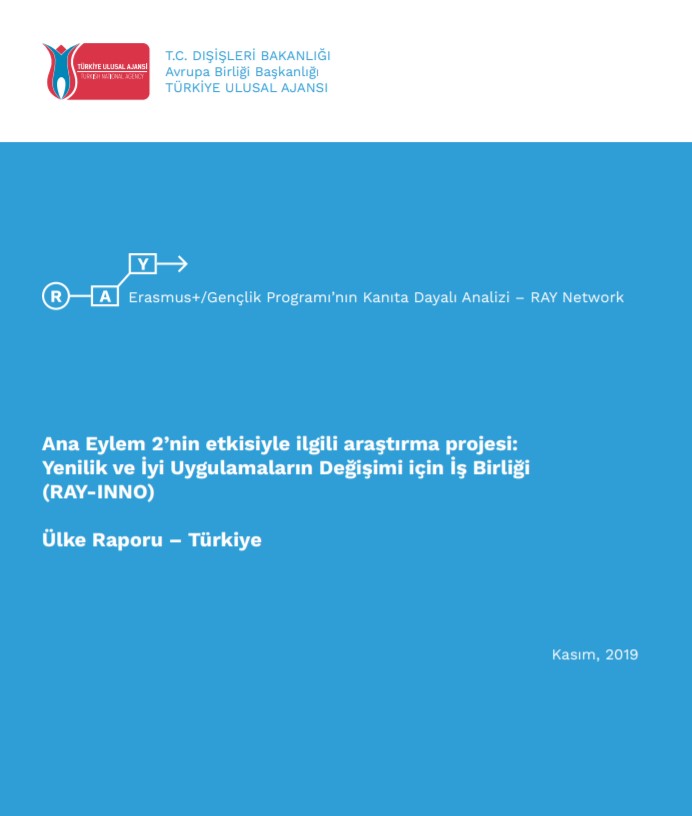 RAY-INNO Türkiye Raporu
