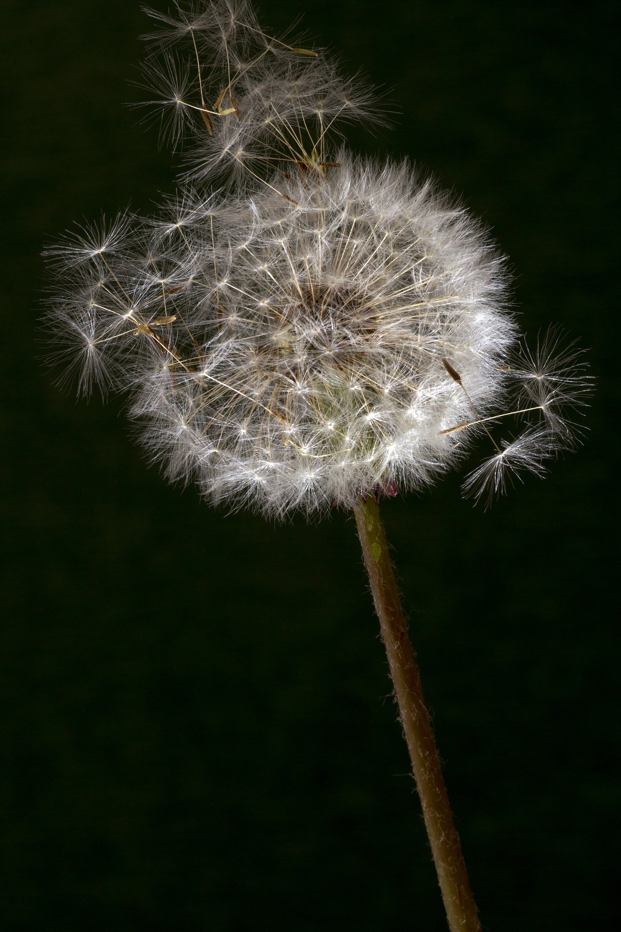 DEOR ÇALIŞTAYI_PROJELER_27ARALIK2017