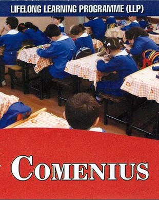 Cep Broşür Serisi-2007  Comenius-EN