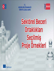 Sektörel Beceri Ortaklıkları Seçilmiş Proje Örnekleri (2014)