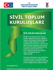 Sivil Toplum Kuruluşları (2013)