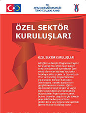 Özel Sektör Kuruluşları (2013)